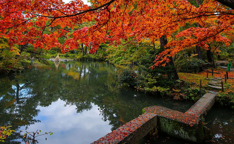 新潟の秋の紅葉
