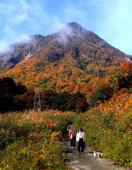 観光風景